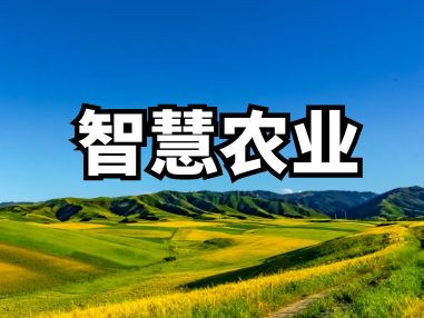 智慧农业解决方案